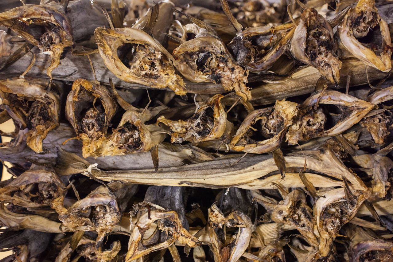 Stockfish