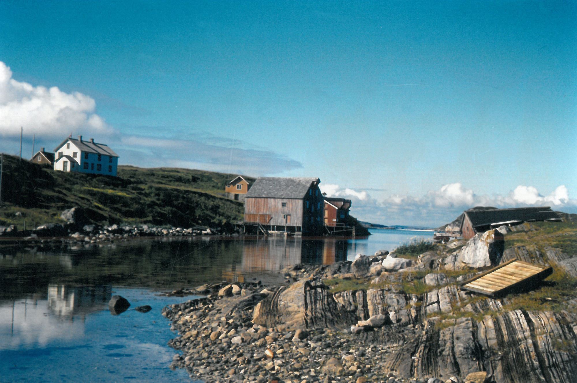Risværet