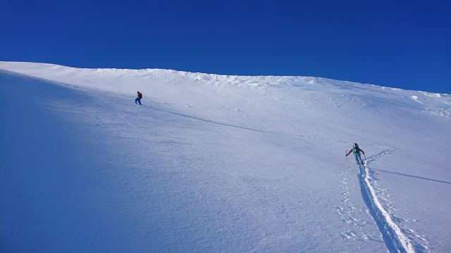 NF videregående kurs