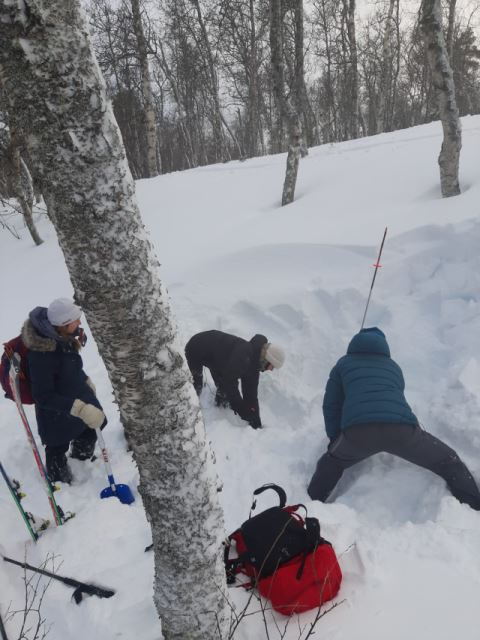 NF Avalanche Methodology Course